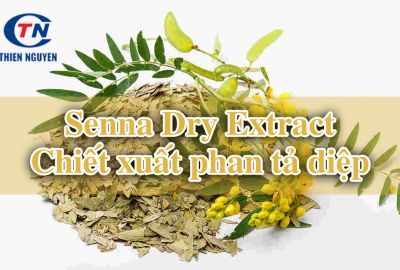 Chiết xuất phan tả diệp - Senna Dry Extract